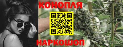 СК Сланцы